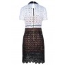  Black And White With Scalloped Edges Lace Dress